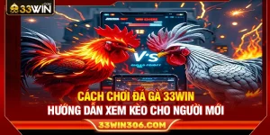 Cách Chơi Đá Gà 33WIN – Hướng Dẫn Xem Kèo Cho Người Mới