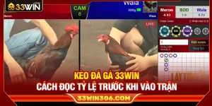 Kèo Đá Gà 33WIN – Cách Đọc Tỷ Lệ Trước Khi Vào Trận