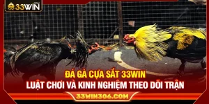 Đá Gà Cựa Sắt 33WIN – Luật Chơi Và Kinh Nghiệm Theo Dõi Trận