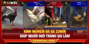 Kinh Nghiệm Đá Gà 33WIN Giúp Người Mới Tránh Sai Lầm